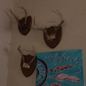 Meet your Posher, Billie